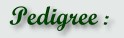 Pedigree
